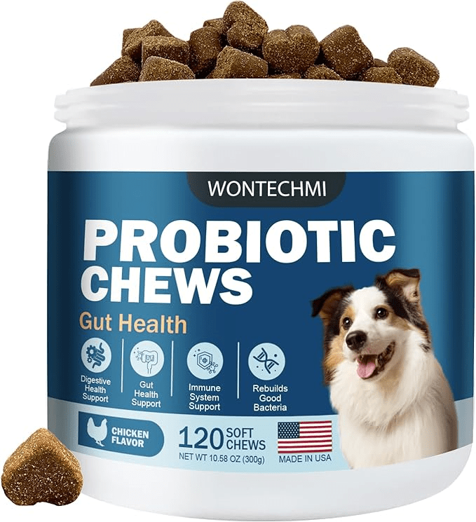 Probiotic supplement for Rottweiler dog